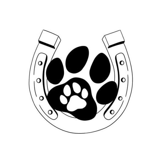 Doudypets gardiennage animaux Montauban